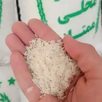 برنج طارم فجر شمال با تضمین کیفیت و مرجوعی|خوردنی و آشامیدنی|قم, بنیاد|دیوار