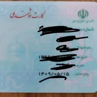 کارت ملی گم شده سلمان اسماعیل لو