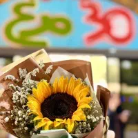 استخدام در شهربازی سیمرغ