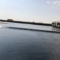 قیر گونی ایزوگام اسفالت|خدمات پیشه و مهارت|تهران, مرزداران|دیوار