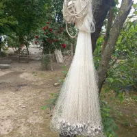 تور ماهیگیری سالیگ