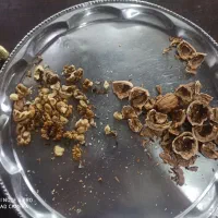 گردوزرقان درجه یک