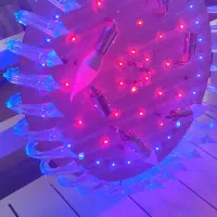 لوستر|لوستر و چراغ آویز|تهران, کیانشهر|دیوار