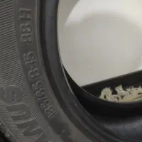 فروشی|دوچرخه، اسکیت، اسکوتر|اهواز, کوی جواهری|دیوار