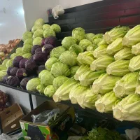 پالت و لوازم میوه فروشی و سایبان|فروشگاه و مغازه|اندیشه, شهرک صدف|دیوار