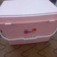 سبد مسافرتی