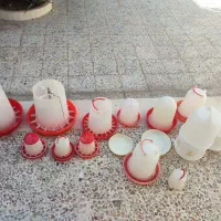 آبخوری مرغ|لوازم جانبی حیوانات|کازرون, |دیوار