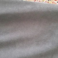 دوعدد مانتو یکی مجلسی وپاییزه در حد نو بسیار شیک|لباس|کرمانشاه, |دیوار