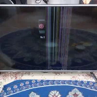 تلویزیون جی پلاس ۴۳ اینچ|تلویزیون و پروژکتور|میبد, |دیوار