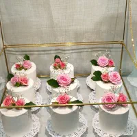 باکس کاپ کیک|خدمات پذیرایی، مراسم|یاسوج, |دیوار