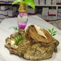 زیباترین هدیه روز معلم