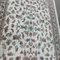 دو تخته فرش 6 متری|فرش|بندرعباس, |دیوار