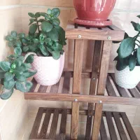 استند گل چوبی|کتابخانه، شلف، قفسه‌های دیواری|مشکین‌دشت, |دیوار