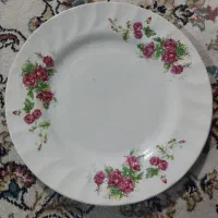 بشقاب