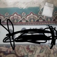این پلاک پیدا شده