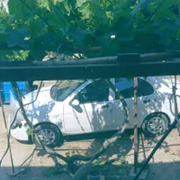 اسکان موقت رایگان