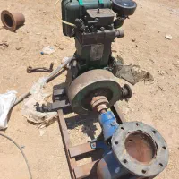 مارگو