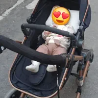 کالسکه اسپرینگ و کریر بیبی لند