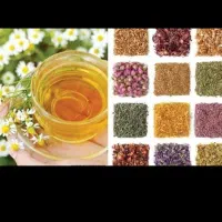 آموزش آنلاین و رایگان مزاج شناسی و گیاه شناسی