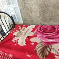 تخت یک نفره فلزی  درحد نونوو