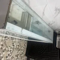 میز|بوفه، ویترین، کنسول|مرند, |دیوار