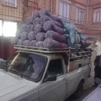 فروش بالشت گرد و چهار گوش|رختخواب، بالش، پتو|سنندج, |دیوار