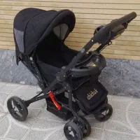 کالسکه دلیجان سالم