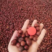 عناب خشک