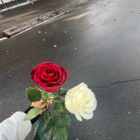 مدیریت سالن زیبایی بانوان