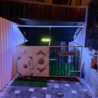 قفس نگهداری سگ