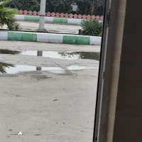 حواله شاهین
