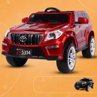 رنگ متالیک ماشین/ شارژی Foton  *مدرن