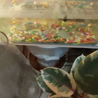 آکواریوم ۴۰در۲۰