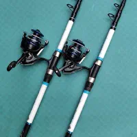 چوب ماهیگیری آلباستارحلقه فوجی اورجینال باچرخ فلزی
