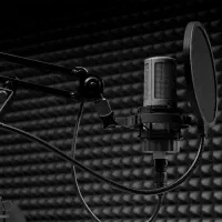 ضبط، ویرایش، تدوین و تهیه فایل‌ های صوتی