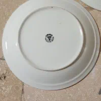 سه عدد بشقاب چینی قدیمی و ۵عدد فنجان ارکوپال وغیره|ظروف سرو و پذیرایی|تهران, زنجان جنوبی|دیوار