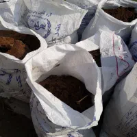 کود گوسفندی اعلا تمیز شده|خدمات باغبانی و درختکاری|اصفهان, کلمه خوران|دیوار