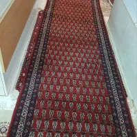 کناره دست بافت در طرح ونقش زیبا|فرش|زنجان, |دیوار