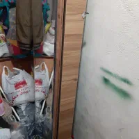 ایینه قدی دارای کمد مخفی|آینه|اصفهان, دشتستان|دیوار