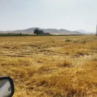 چاه عمیق کشاورزی اجاره ای|اجارهٔ دفتر صنعتی، کشاورزی، تجاری|دهگلان, |دیوار