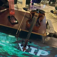 ویولن الکتریک هافنر