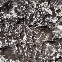 آموزش صفرتاصد پرورش قارچ|خدمات آموزشی|دزفول, |دیوار