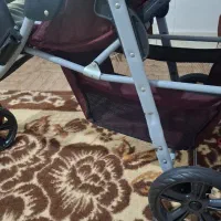 کالسکه|کالسکه و لوازم جانبی|مراغه, |دیوار