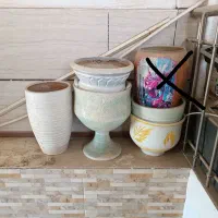 تعدادی گلدان