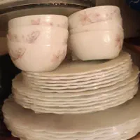 سرویس ارکوپال
