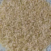 برنج چمپا درجه یک