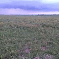 زمین-ویلای-در-دشت-یال-ایلخچی