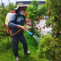 باغبانی درختکاری و سمپاشی