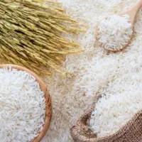 برنج طارم هاشمی