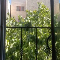 اوین محله کوهساز خوش نقشه نورگیر عالی ویو حیاط|اجارهٔ آپارتمان|تهران, هزارسنگ|دیوار